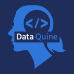 Data Quine logo showing silhouette of a woman with a ponytail and code inside her brain